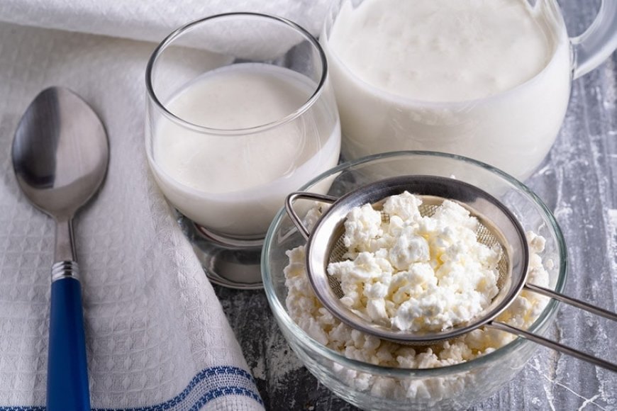 Kediler Kefir Tüketebilir Mi? — Kefiri evde yapmak da oldukça kolaydır. Evcil hayvanınızın mamasına az miktarda eklemeye başlayabilirsiniz. (3)